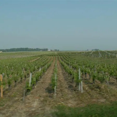 Au Coeur Du Medoc Bed & Breakfast Ordonnac