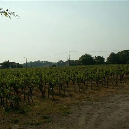 Au Coeur Du Medoc